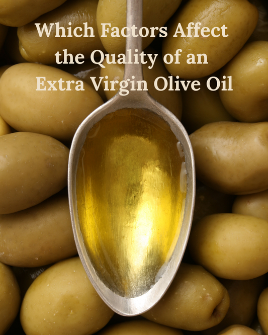 Key Factors That Degrade an Extra Virgin Olive Oil
